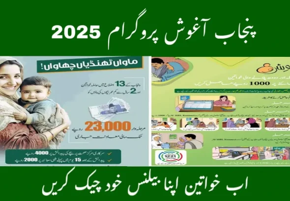 Pregnant woman visiting health clinic under Aghosh Registration Program 2025 in Punjab