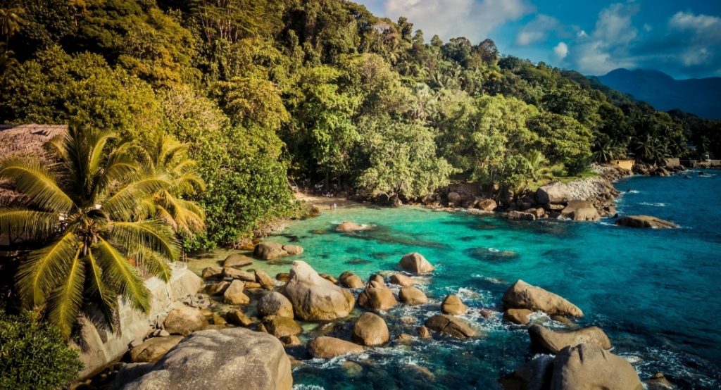 Crystal-clear beach and palm trees in Seychelles — perfect Eid getaway from UAE with visa-free entry